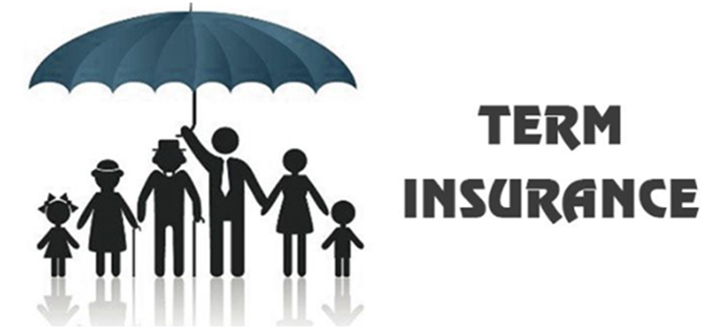 What Is Term Insurance Meaning